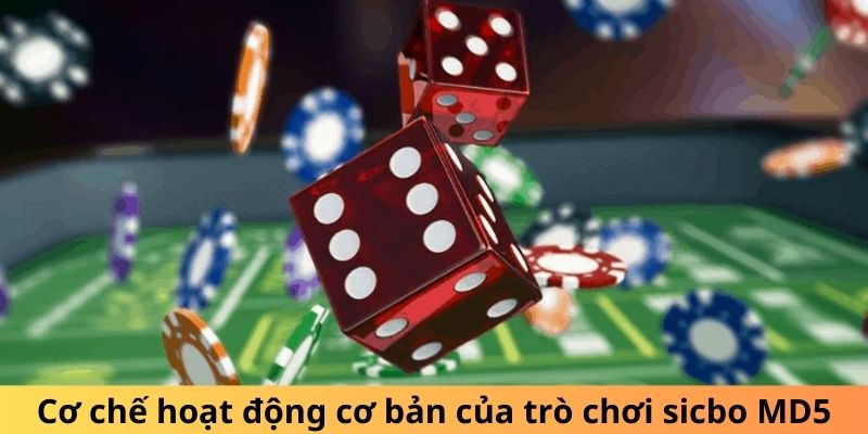 6. Chơi Với Mục Đích Giải Trí Đầu Tiên